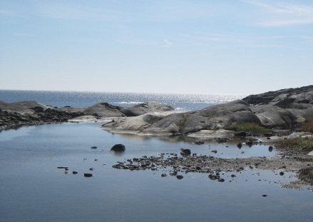 Newborn landscape in the eastern archipelago of Sweden